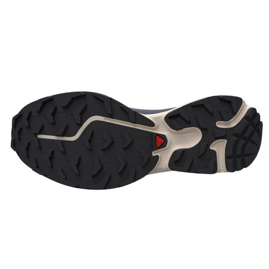 Salomon XT-6